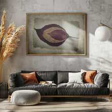 Load image into Gallery viewer, The Story of Nature