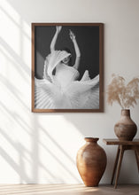 Load image into Gallery viewer, Amadeus