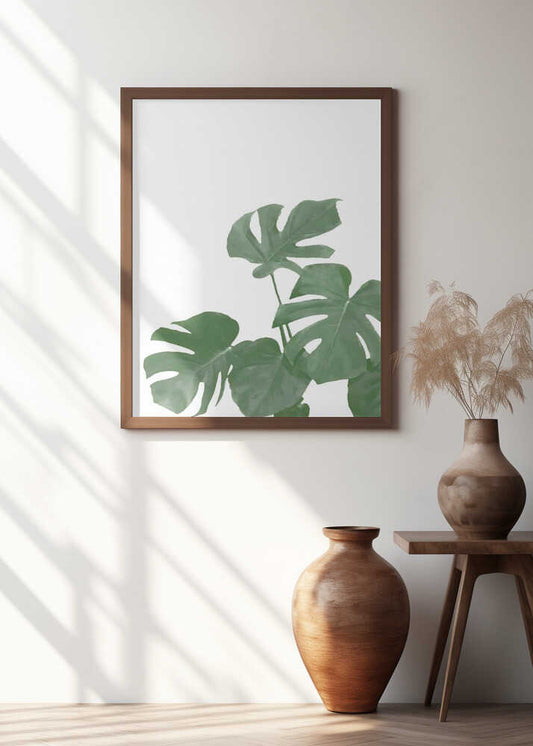 Monstera Aqua 04
