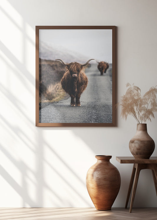 Highland Cow Photographic Art | Scotland Art