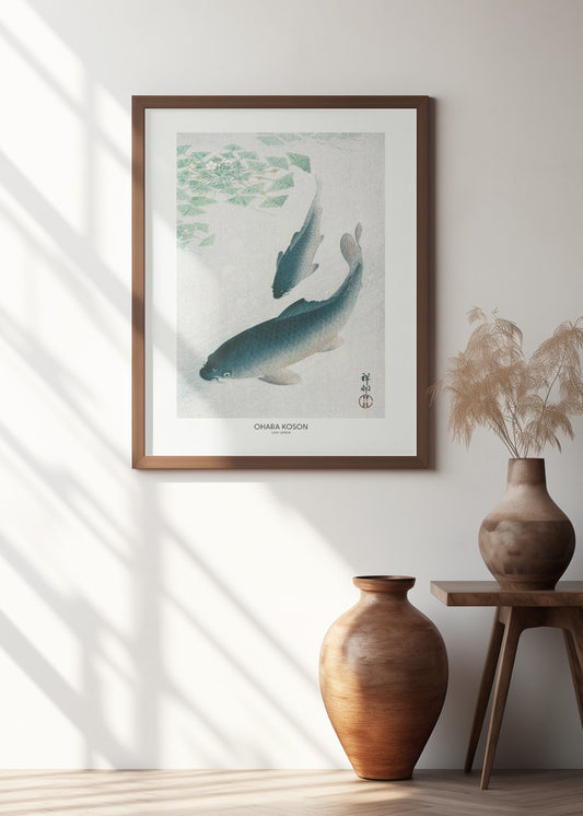 Carp Or Koi