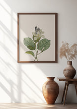 Load image into Gallery viewer, Botanical vintage cameraman