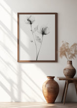 Load image into Gallery viewer, Transparent Botanic No 7 | Black and white floral wall art