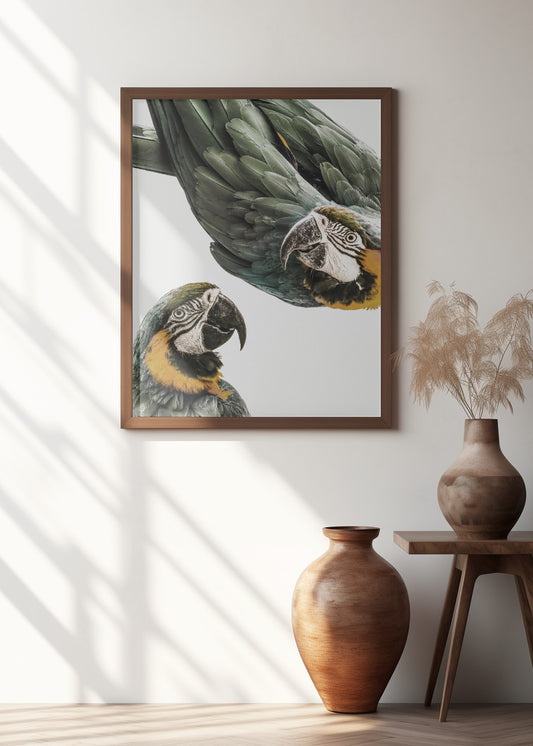 Vibrant Parrot Duo | Bird wall art