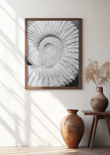 Load image into Gallery viewer, Ancient Spiral Dreams