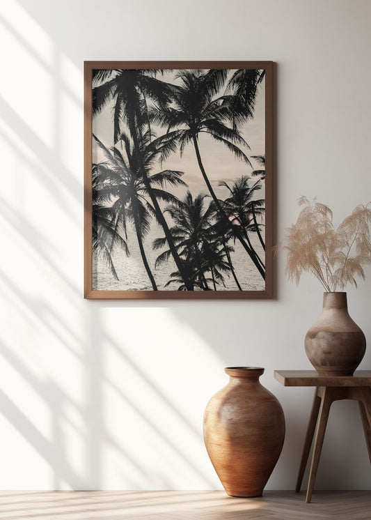 Tropical Twilight