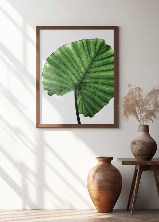 Lush Green Leaf