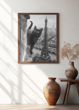 Load image into Gallery viewer, Kitty in Paris