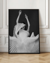 Load image into Gallery viewer, Amadeus