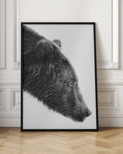 Load image into Gallery viewer, The Salmon Catcher