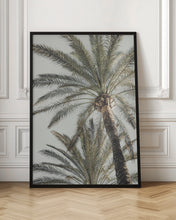 Load image into Gallery viewer, Palm_005