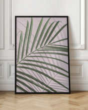 Load image into Gallery viewer, Palm Leaf Shadow