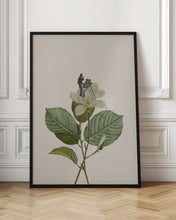 Load image into Gallery viewer, Botanical vintage cameraman