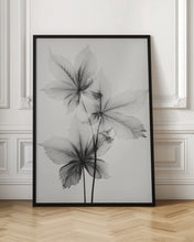 Load image into Gallery viewer, Transparent Botanic No 5 | Black and white floral wall art