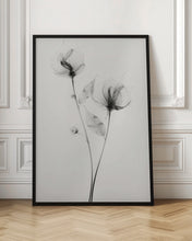 Load image into Gallery viewer, Transparent Botanic No 7 | Black and white floral wall art