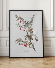 Load image into Gallery viewer, Tree Sparrow From Birds of America (1827) | Bird wall art