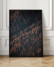 Load image into Gallery viewer, Autumn Woods 2