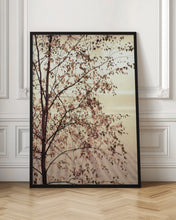 Load image into Gallery viewer, Morning brilliance