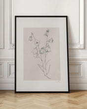 Load image into Gallery viewer, Bellflowers ink drawing