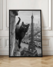 Load image into Gallery viewer, Kitty in Paris
