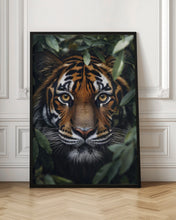 Load image into Gallery viewer, Wild Tiger 2 | Jungle wall art