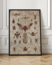 Load image into Gallery viewer, Vintage-style Insects