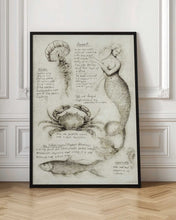 Load image into Gallery viewer, Mythical And Marine Creatures