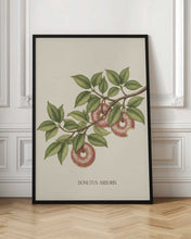 Load image into Gallery viewer, Donutus Arboris