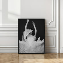 Load image into Gallery viewer, Amadeus
