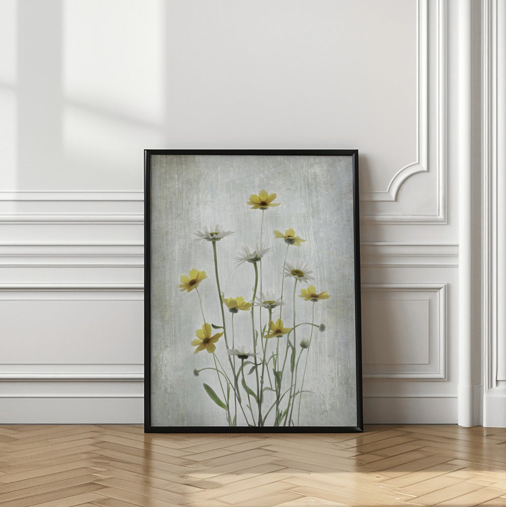 Summer Flowers