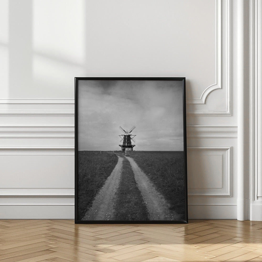 Windmill | Photographic wall act
