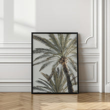 Load image into Gallery viewer, Palm_005