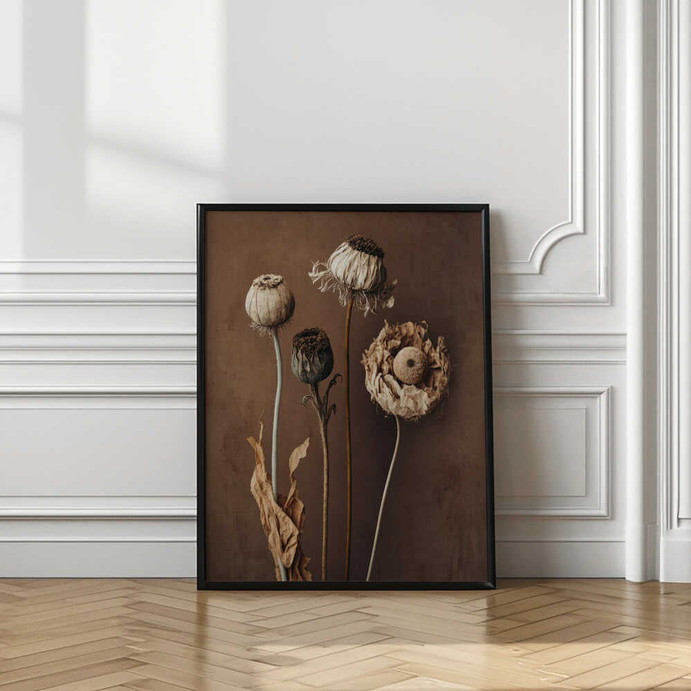 Faded Elegance