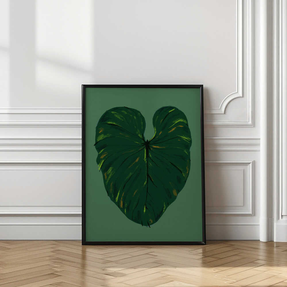 Philodendron Gloriosum Green