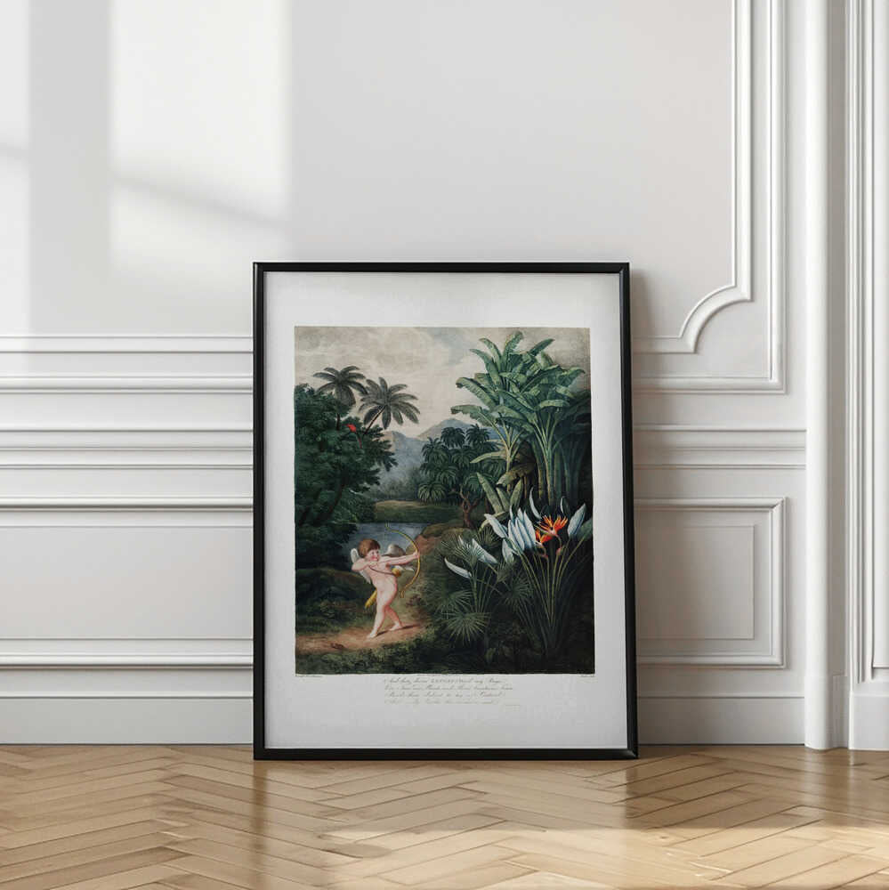 Cupid Inspiring Plants with Love from The Temple of Flora (1807)