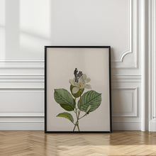 Load image into Gallery viewer, Botanical vintage cameraman