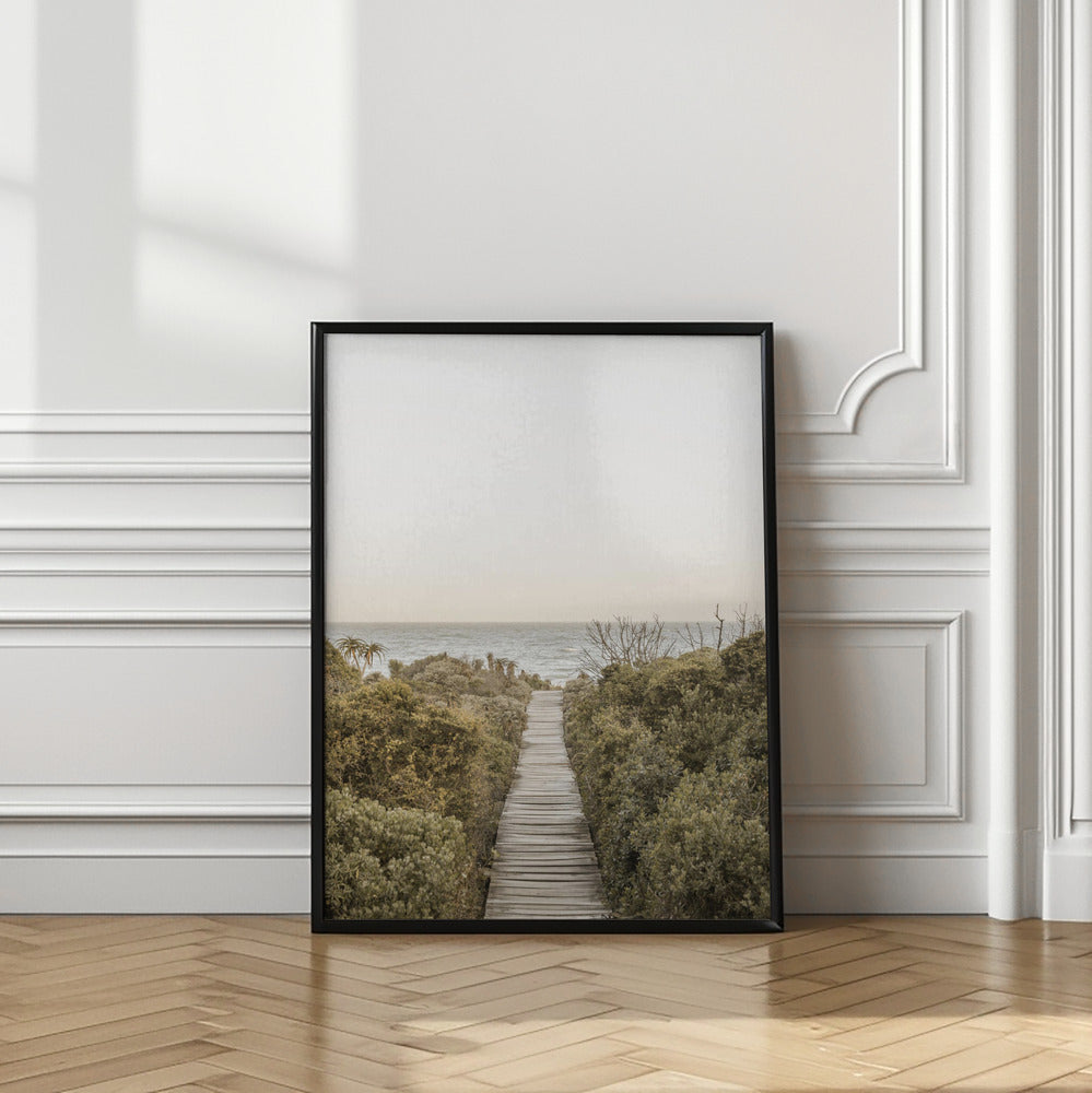 Boardwalk