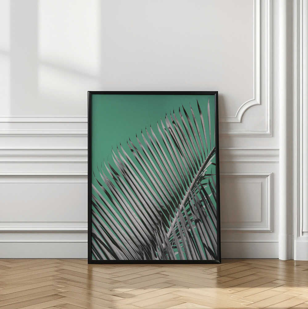 Palm Serenity