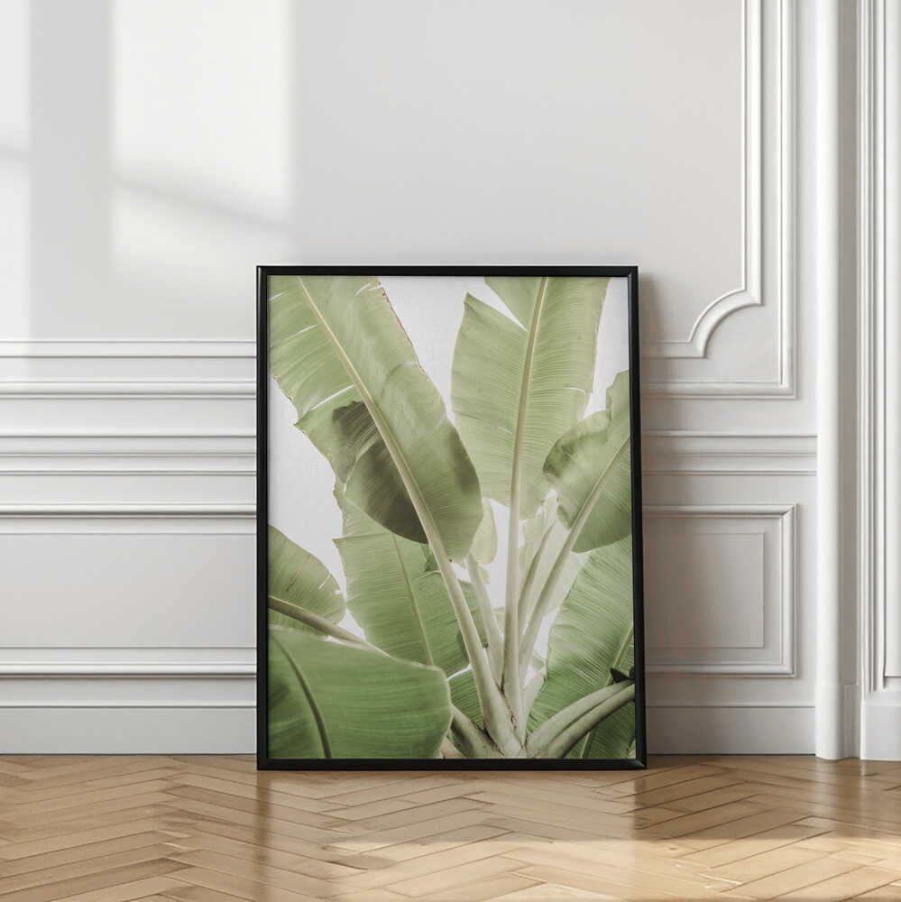 Verdant Leafscape
