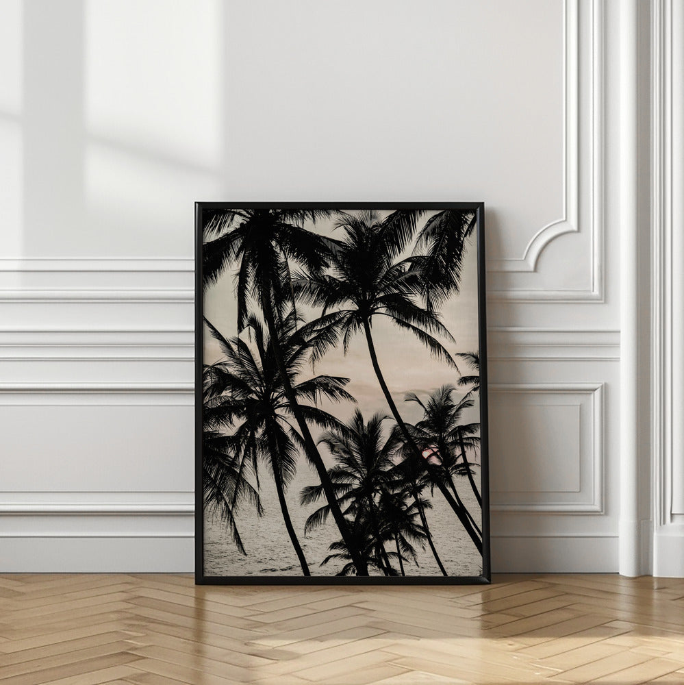 Tropical Twilight