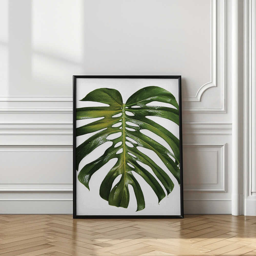 Fresh Tropical Monstera