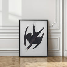 Load image into Gallery viewer, Frigate Pelican From Birds of America (1827)