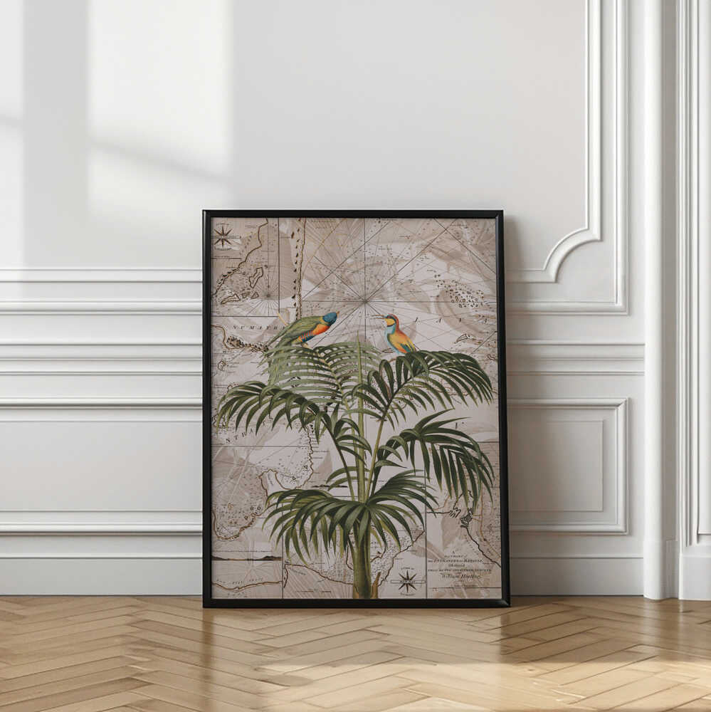Tropical Birds Vintage Map