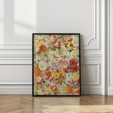 Load image into Gallery viewer, Botany