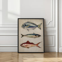 Load image into Gallery viewer, Trio of Ocean Life