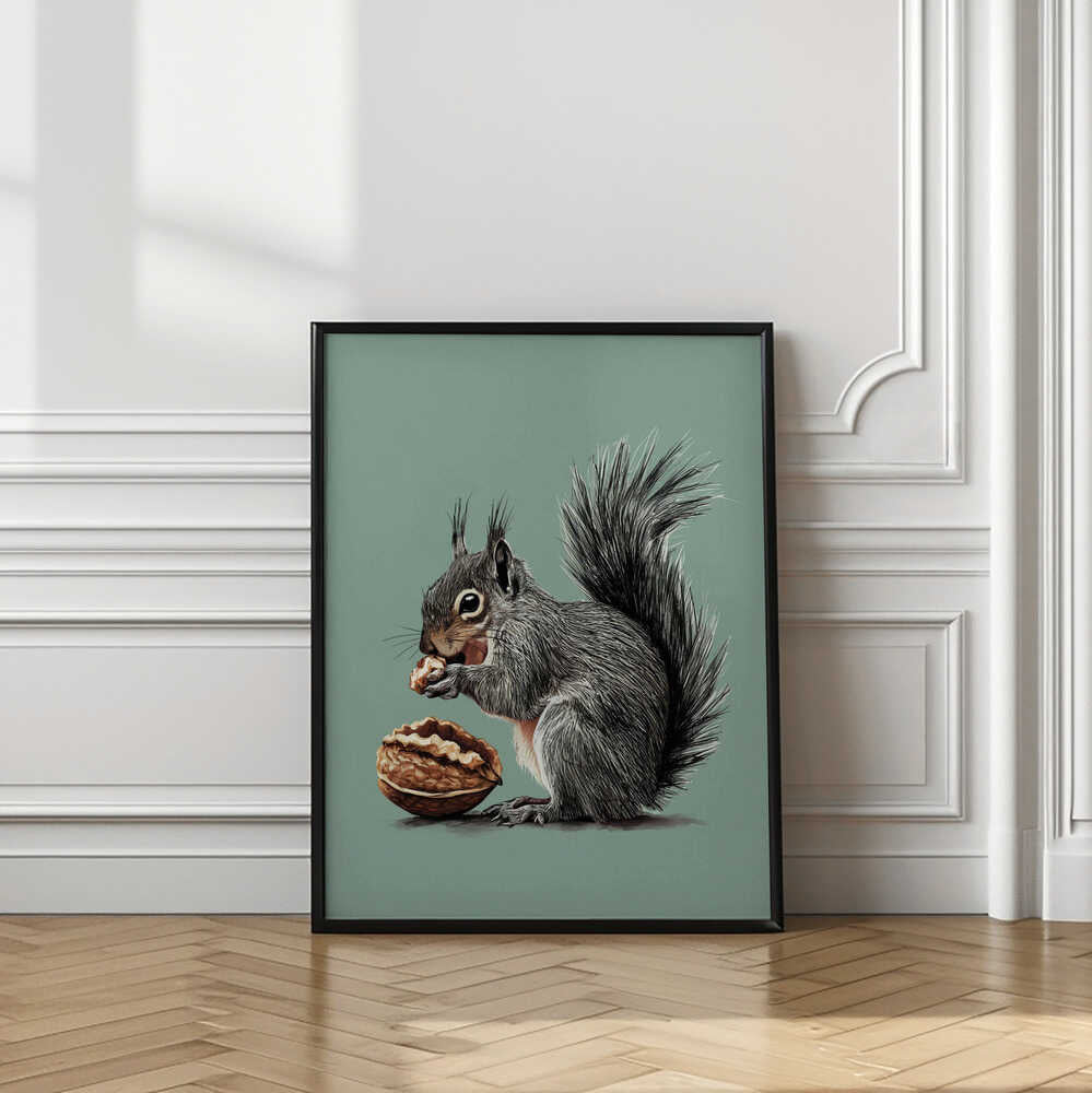 The Squirrel and the Walnut