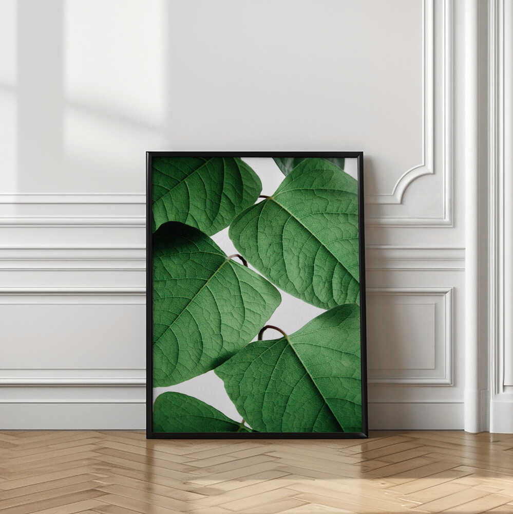 Fresh Green Leaves