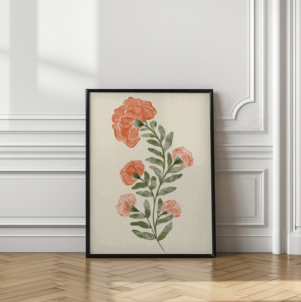 Marigold Flowers