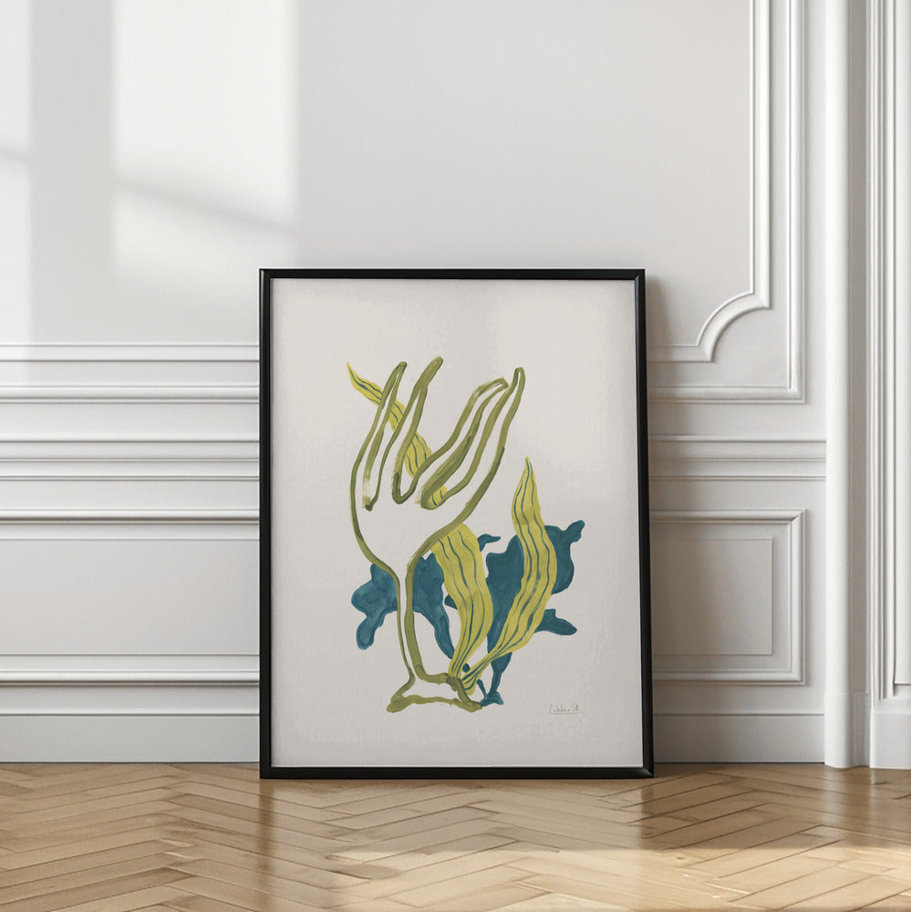 Algae No2