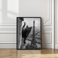 Load image into Gallery viewer, Kitty in Paris